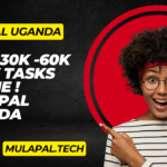 What is MulaPal in Uganda?
