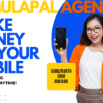 MULAPAL AGENCY