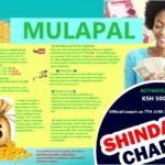MulaPal