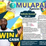 MULAPAL ZAMBIA – Best Ways To Earn Money in MULAPAL ZAMBIA