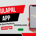 How the MulaPal App Works